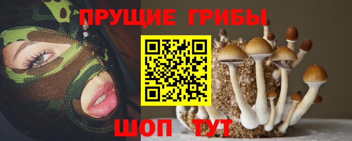 Псилоцибиновые грибы GOLDEN TEACHER Чапаевск